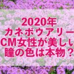 ヤマダ電機の最新cm女優に白本彩奈 知らなかった 可愛い 21年 Yumemiru